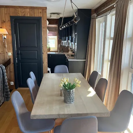 In Geilo Leilighet *