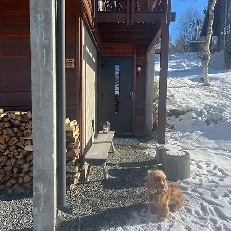In Geilo *