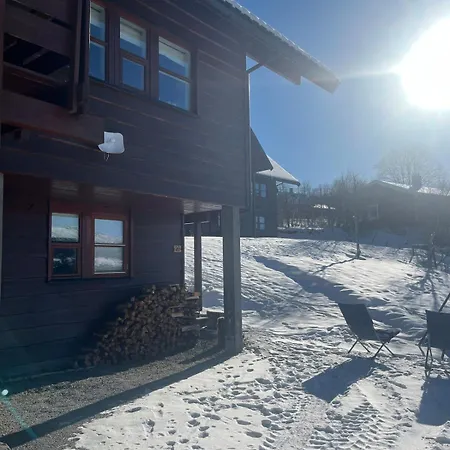 In Geilo Leilighet Hol (Buskerud)
