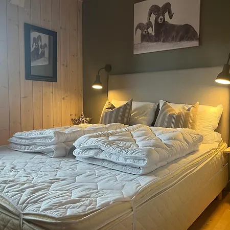 In Geilo Leilighet